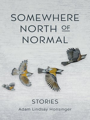 cover image of Somewhere North of Normal